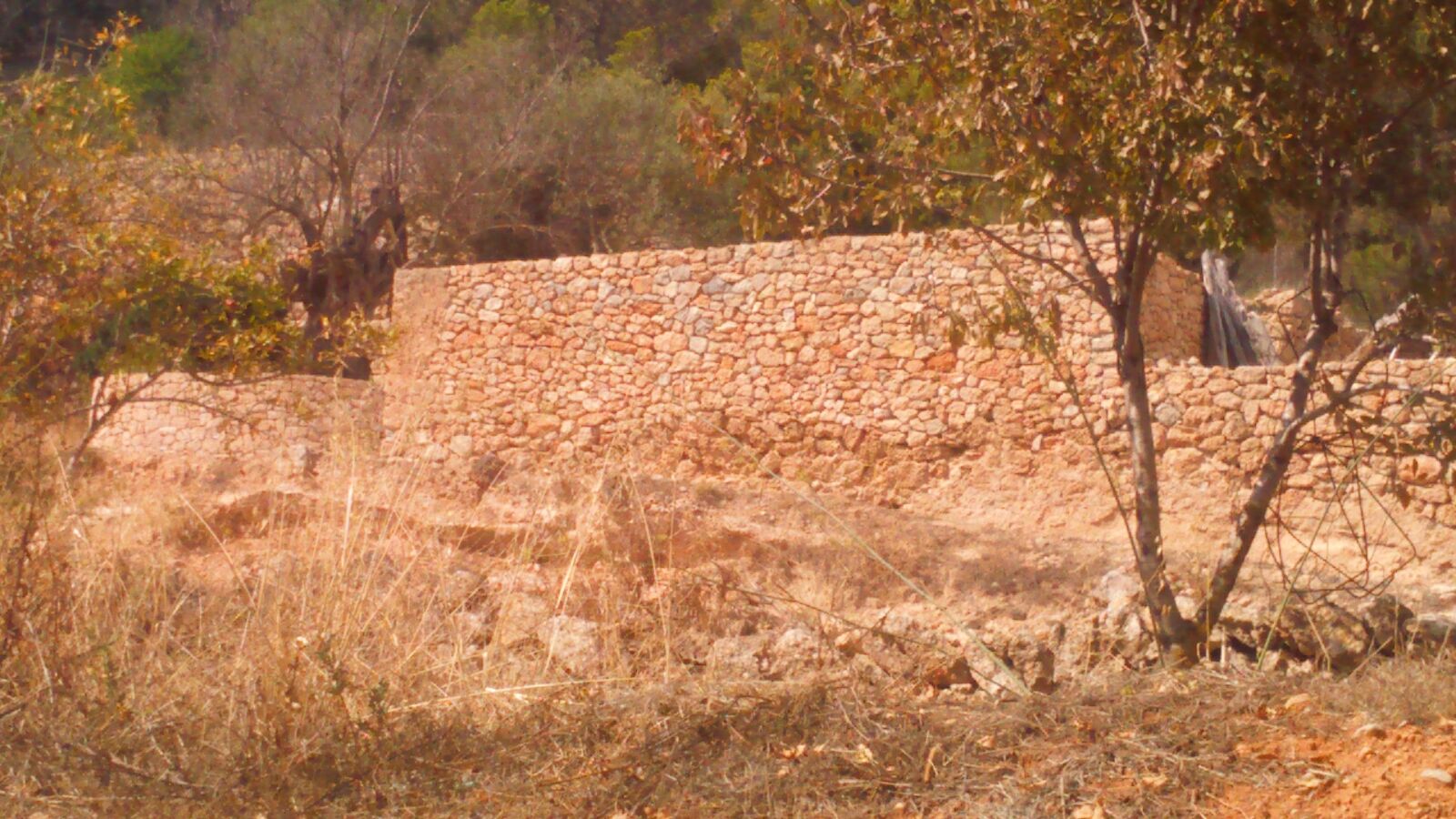 Traditional Ibizan finca with large plot for sale in Ibiza