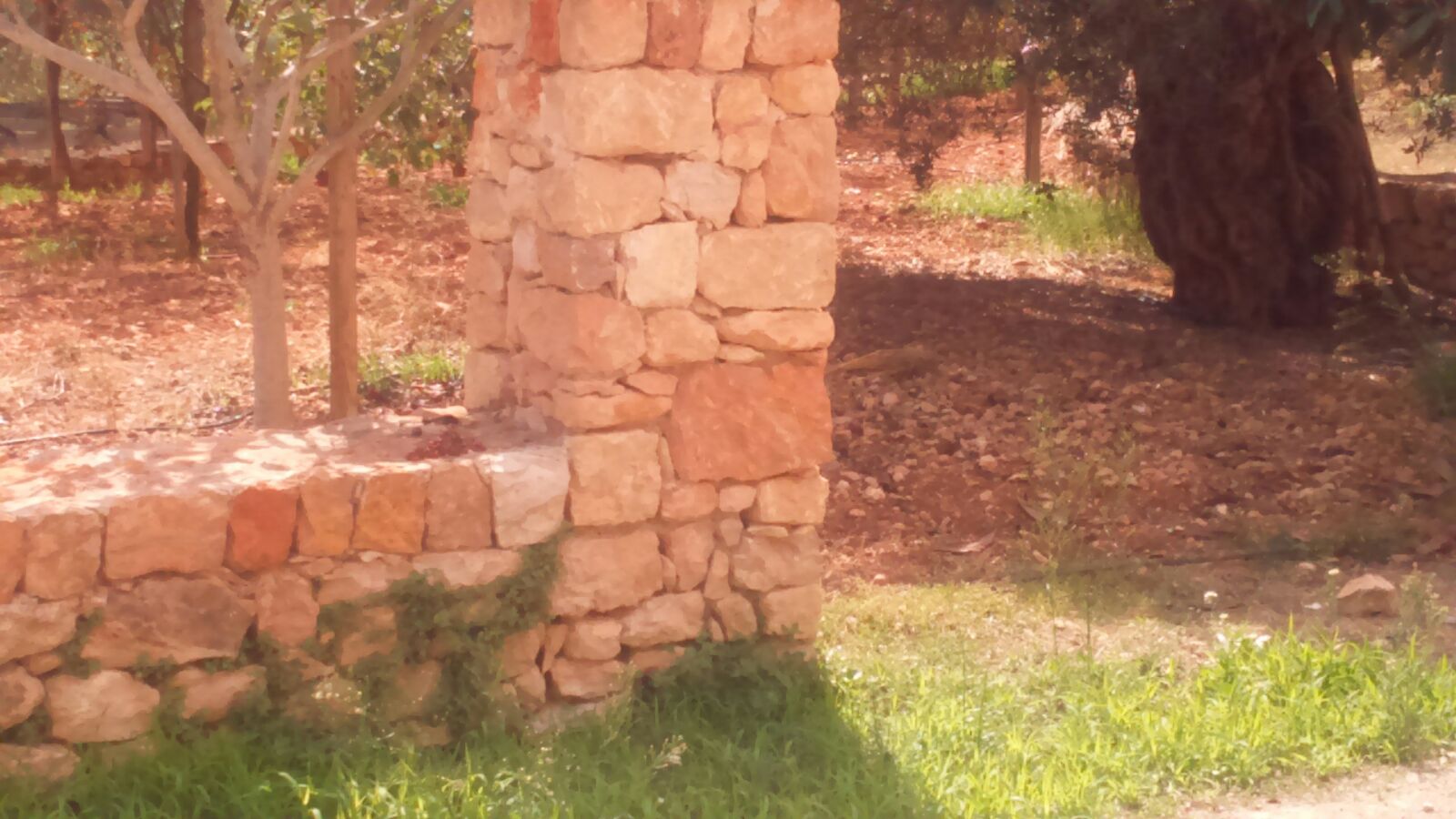 Traditional Ibizan finca with large plot for sale in Ibiza