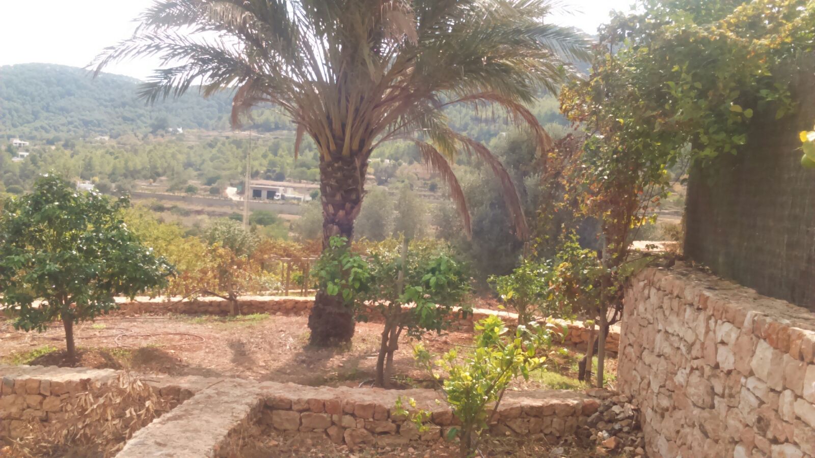 Traditional Ibizan finca with large plot for sale in Ibiza