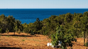 Old finca with Blakstad project walking distance to the beach