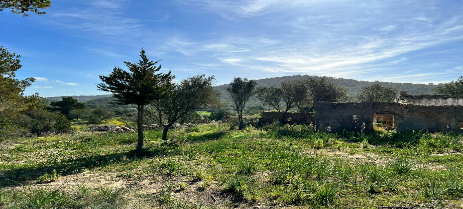 Authentic Ibicencan Finca with 136.000 m2 of land