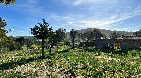 Authentic Ibicencan Finca with 136.000 m2 of land