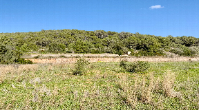 Plot of 63,000 m2 close to Santa Gertrudis with license to Build