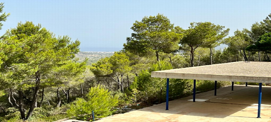To be finished project in the middle of nature with total privacy in San José