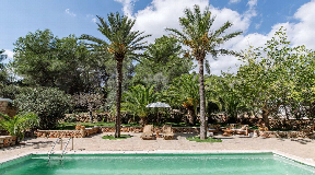 Wonderful finca for sale in the area of San Lorenzo