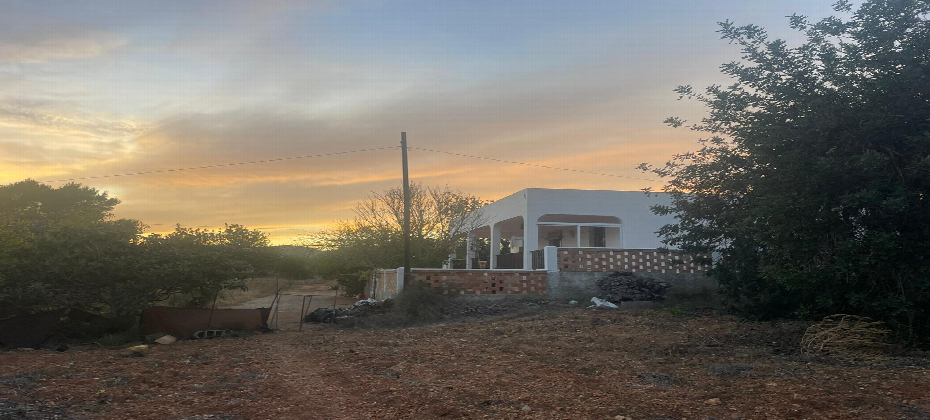 San Carlos countryside finca with casita to refurbish