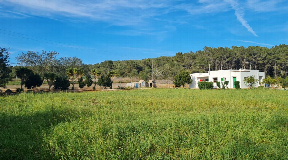 Beautiful piece of land between Santa Gertrudis and San Mateo