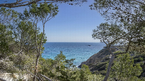 Fantastic villa to renovate in first sea line and access to the beach
