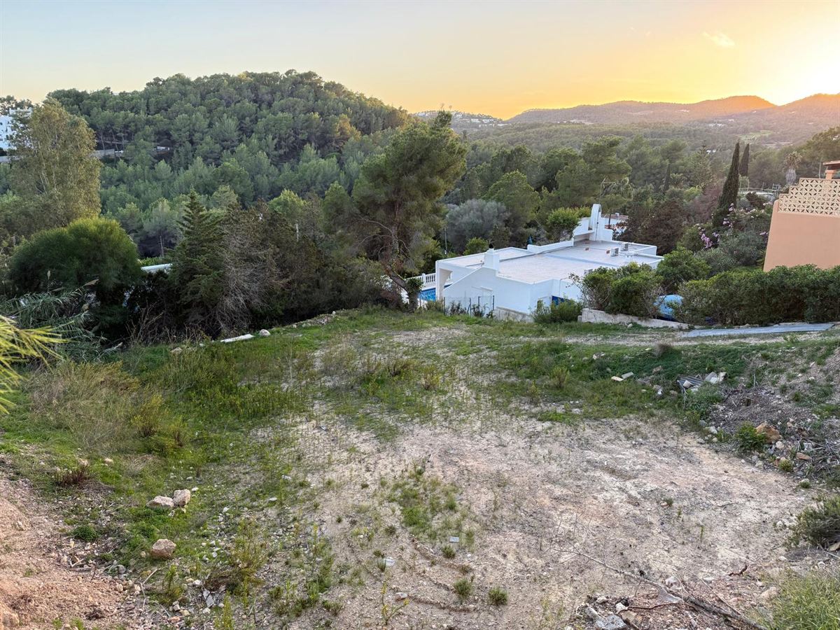 Plot with project and approved building license in Cala Llonga