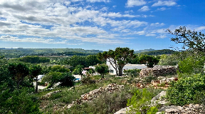 Authentic Finca outside SanMateo with 116.000 sqm of land