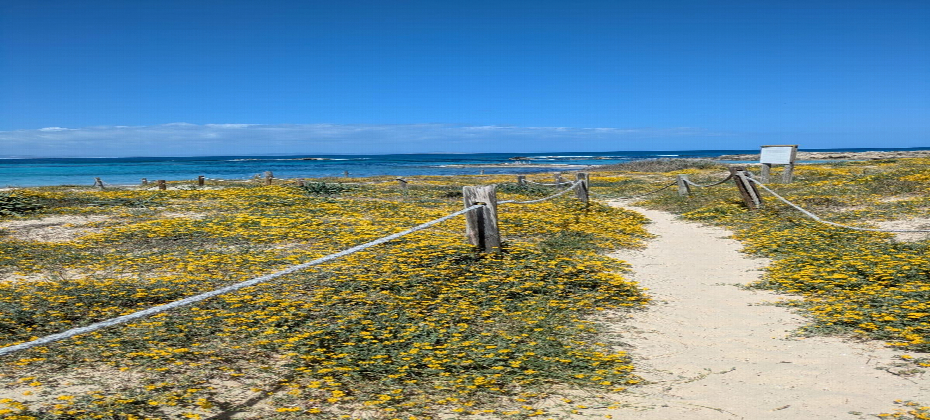 Apartment with Tourist Rental License Just Steps from the Sea in Formentera