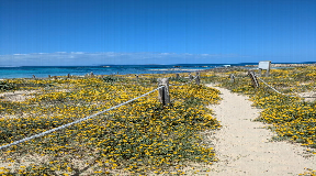 Apartment with Tourist Rental License Just Steps from the Sea in Formentera